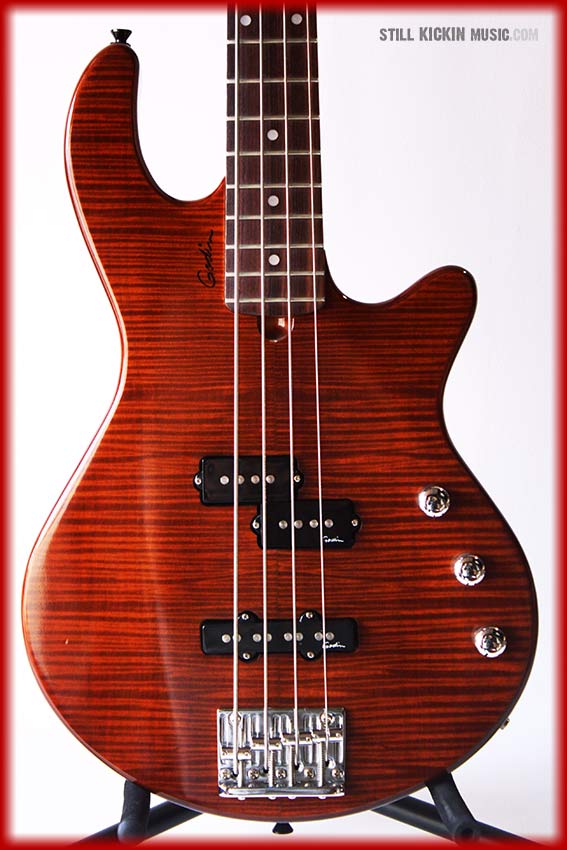 Godin Serial Numbers--WOW!