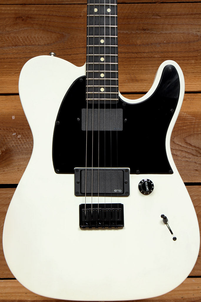 Fender Jim Root Telecaster Clean! MIM + Zebra Striped Case Tele 36430 ...